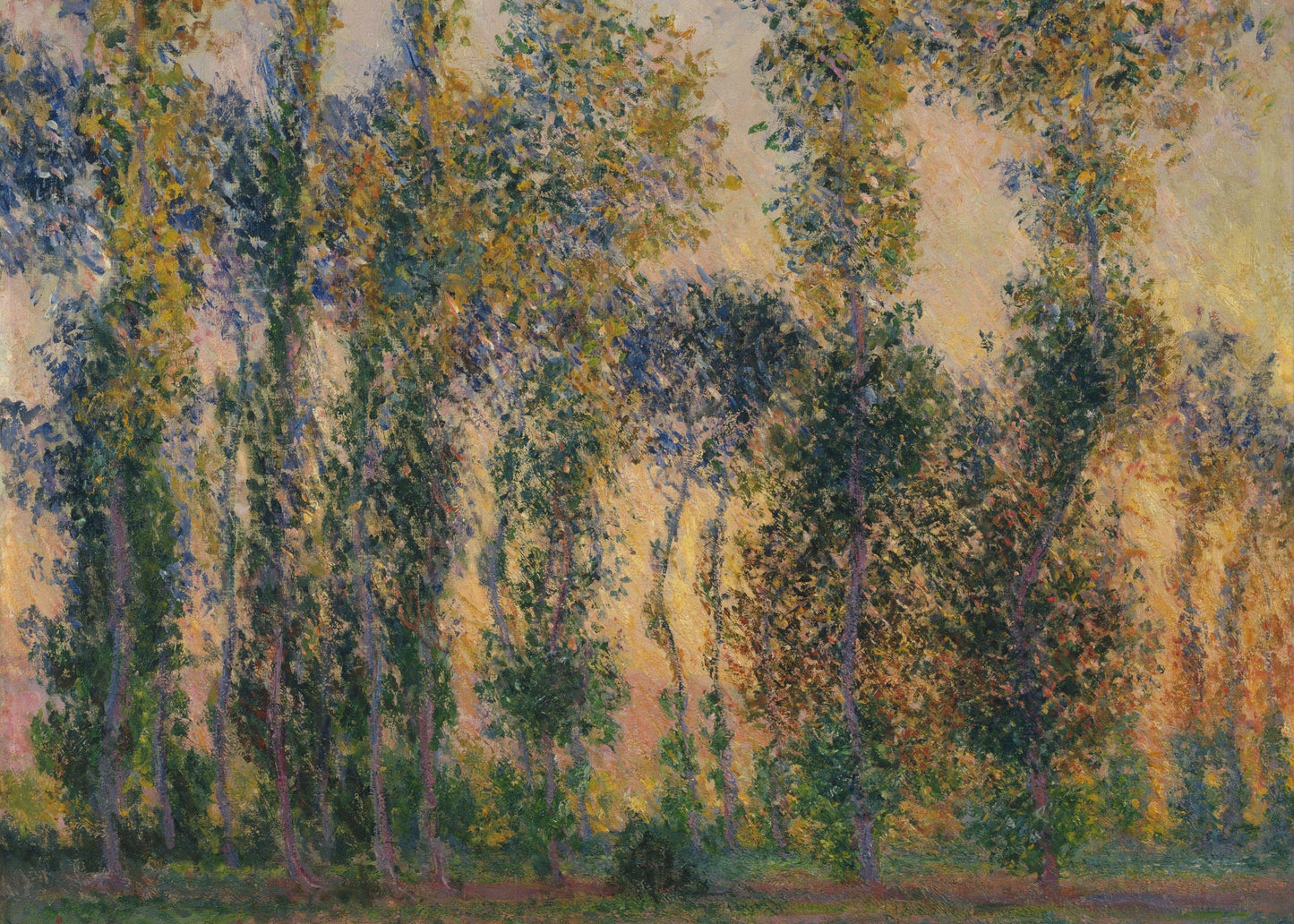 Poplars at Sunrise