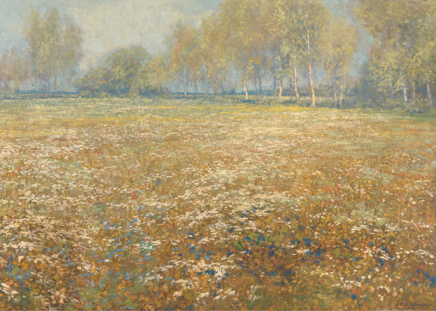 Blooming Meadow