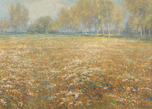 Blooming Meadow