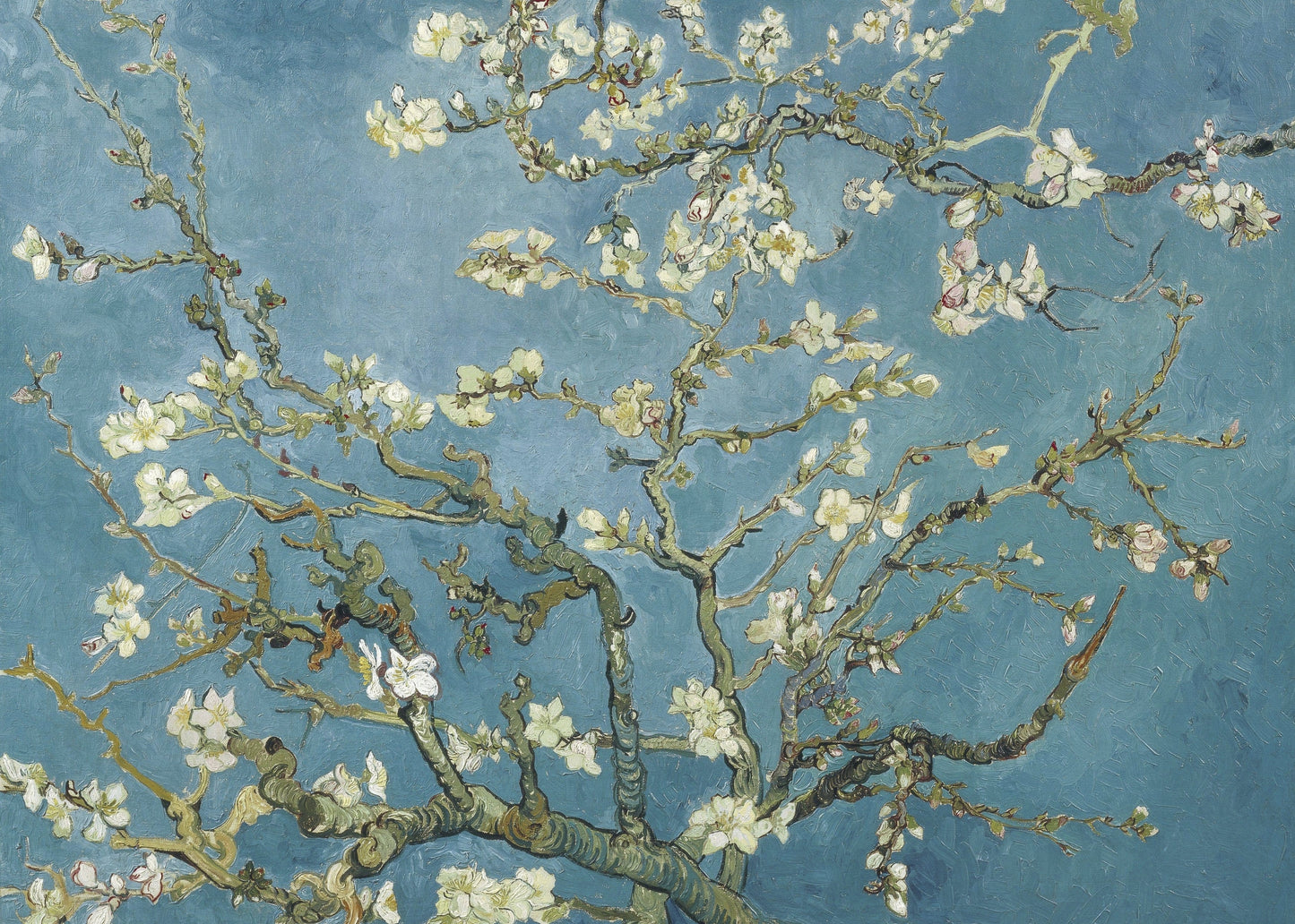 Blossoming Almond Tree