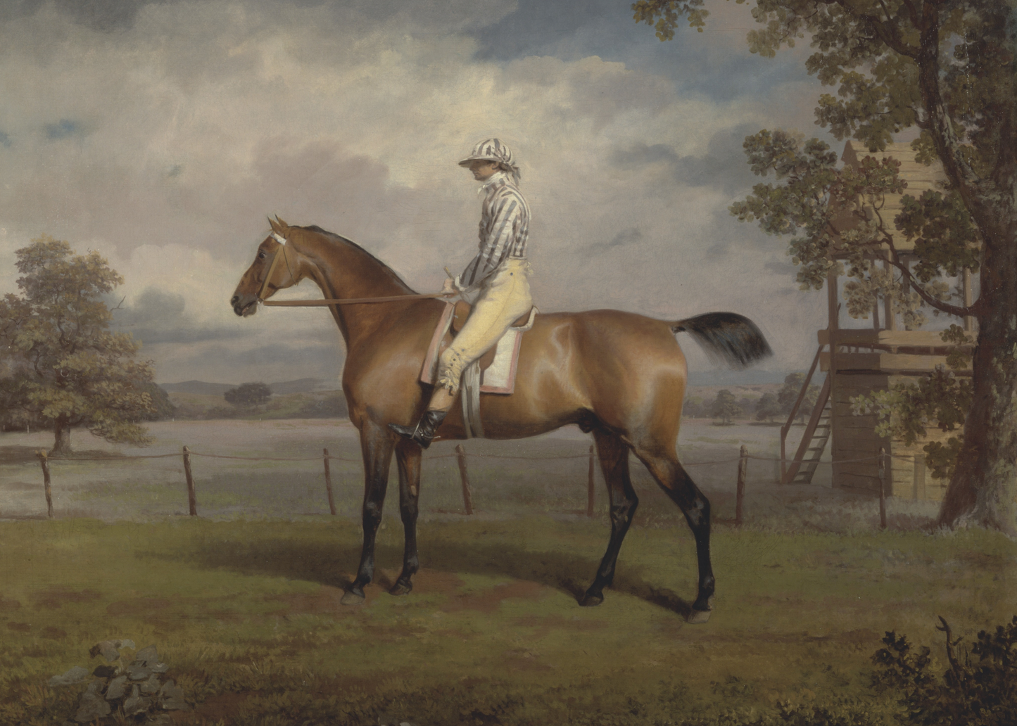 Portrait of a Racehorse