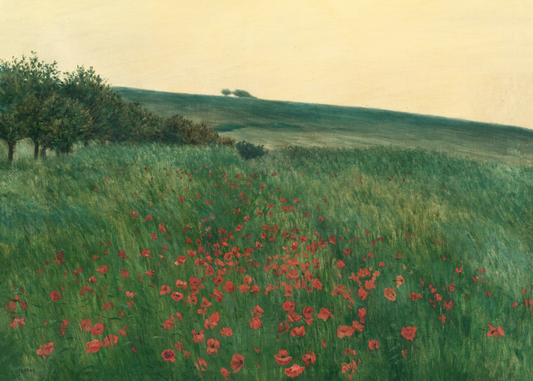 Field of Red Poppies