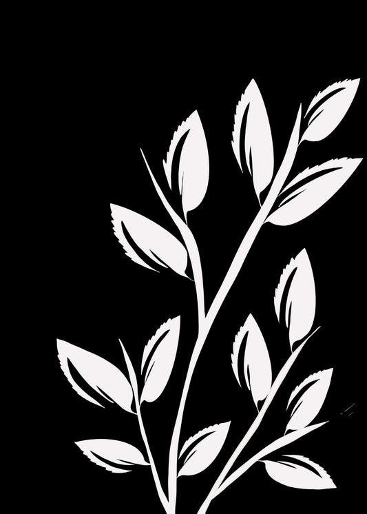 White Plant In Black Background