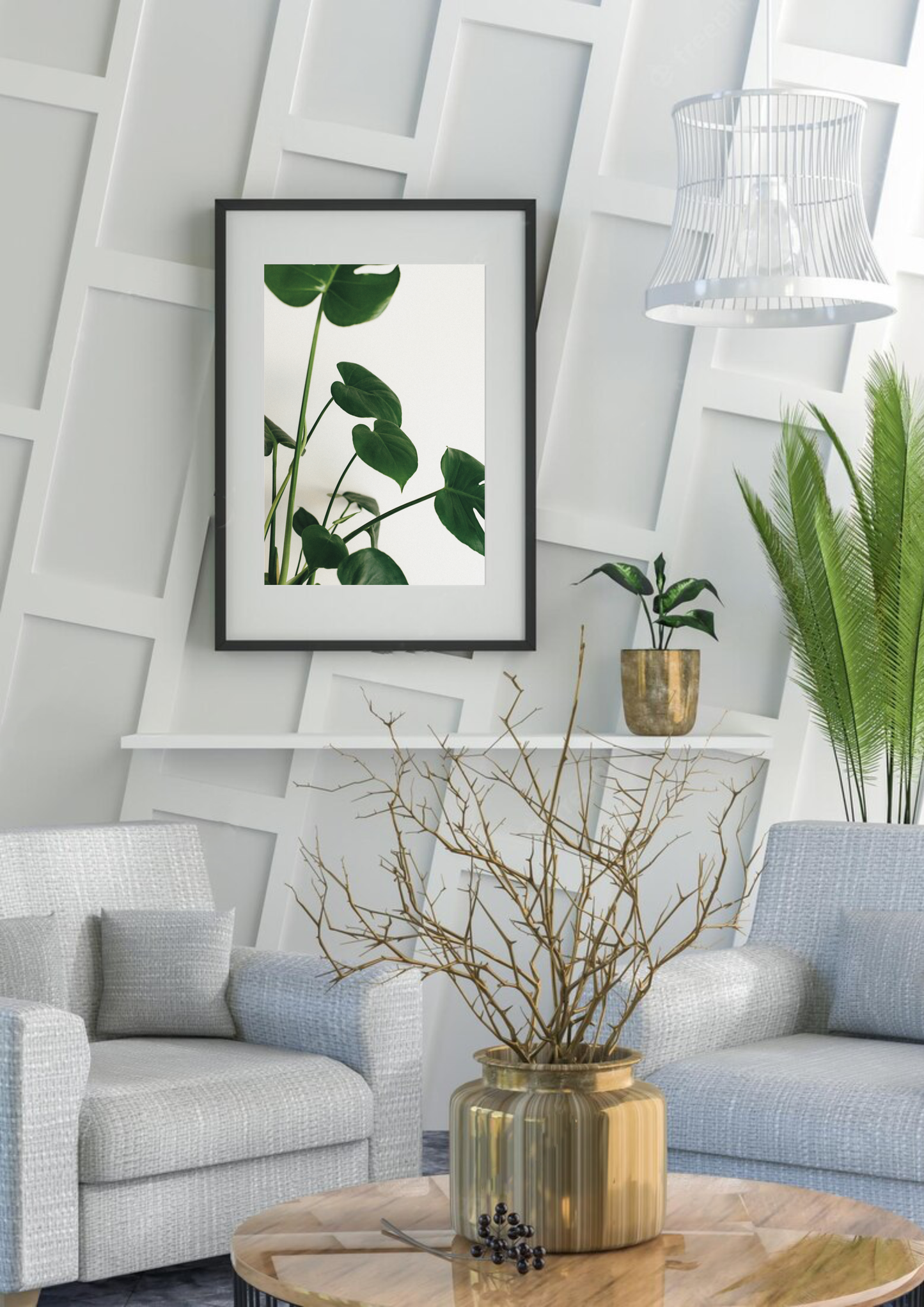 Monstera Plant