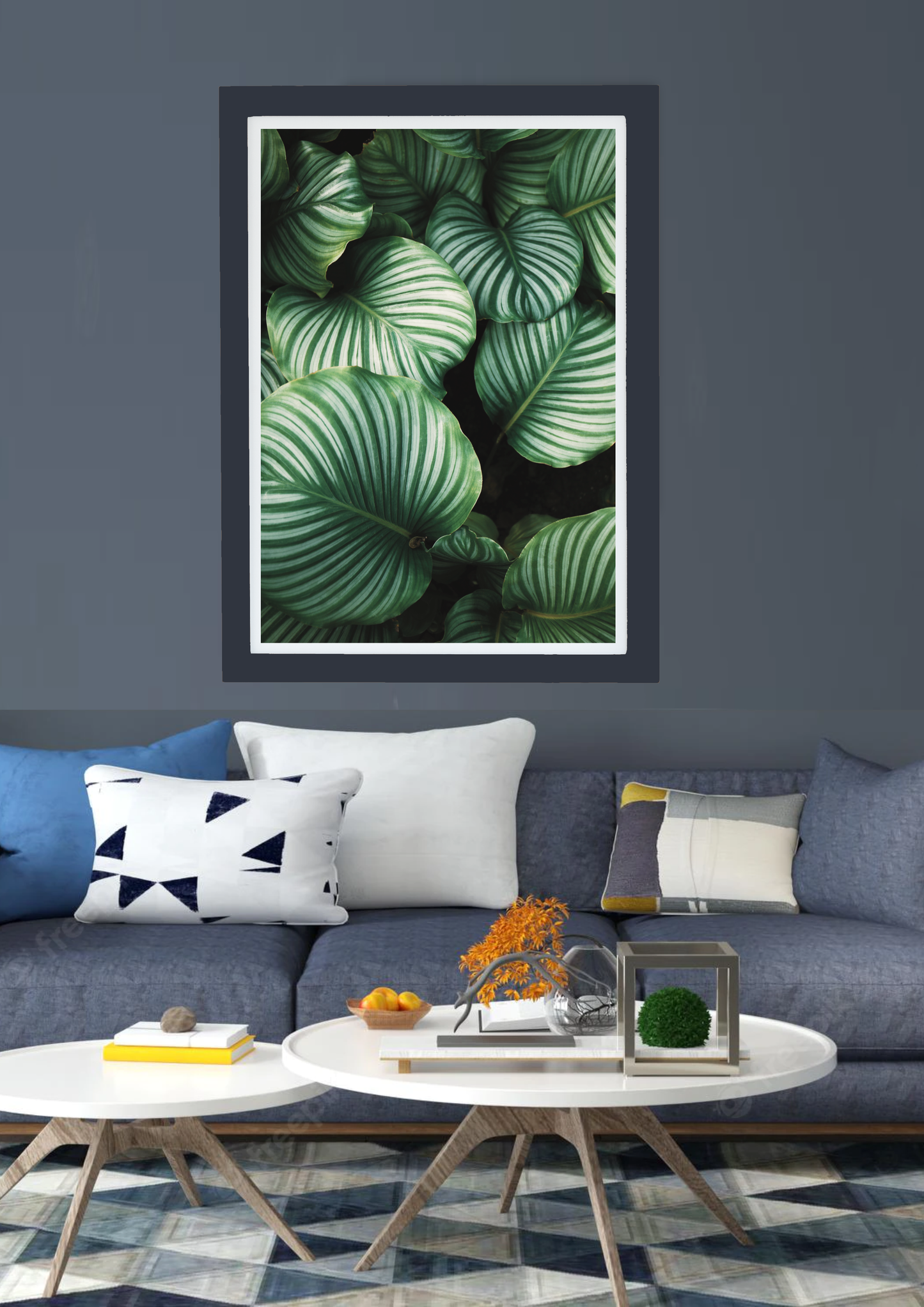 Calathea Leaves