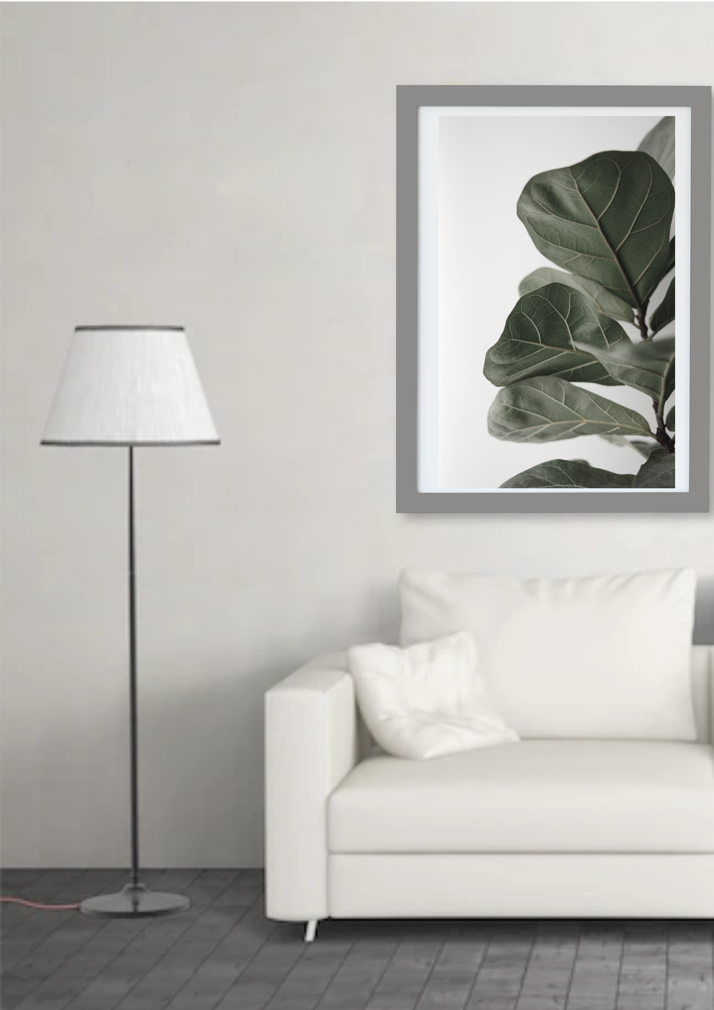 Black & White Ficus