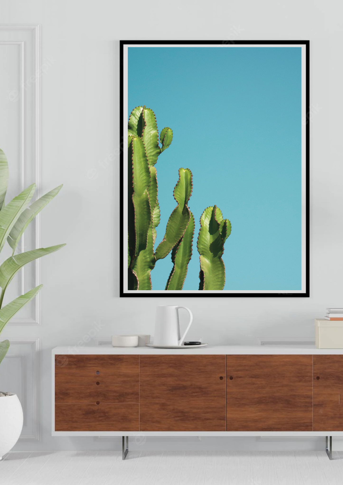 Cactus By The Wall