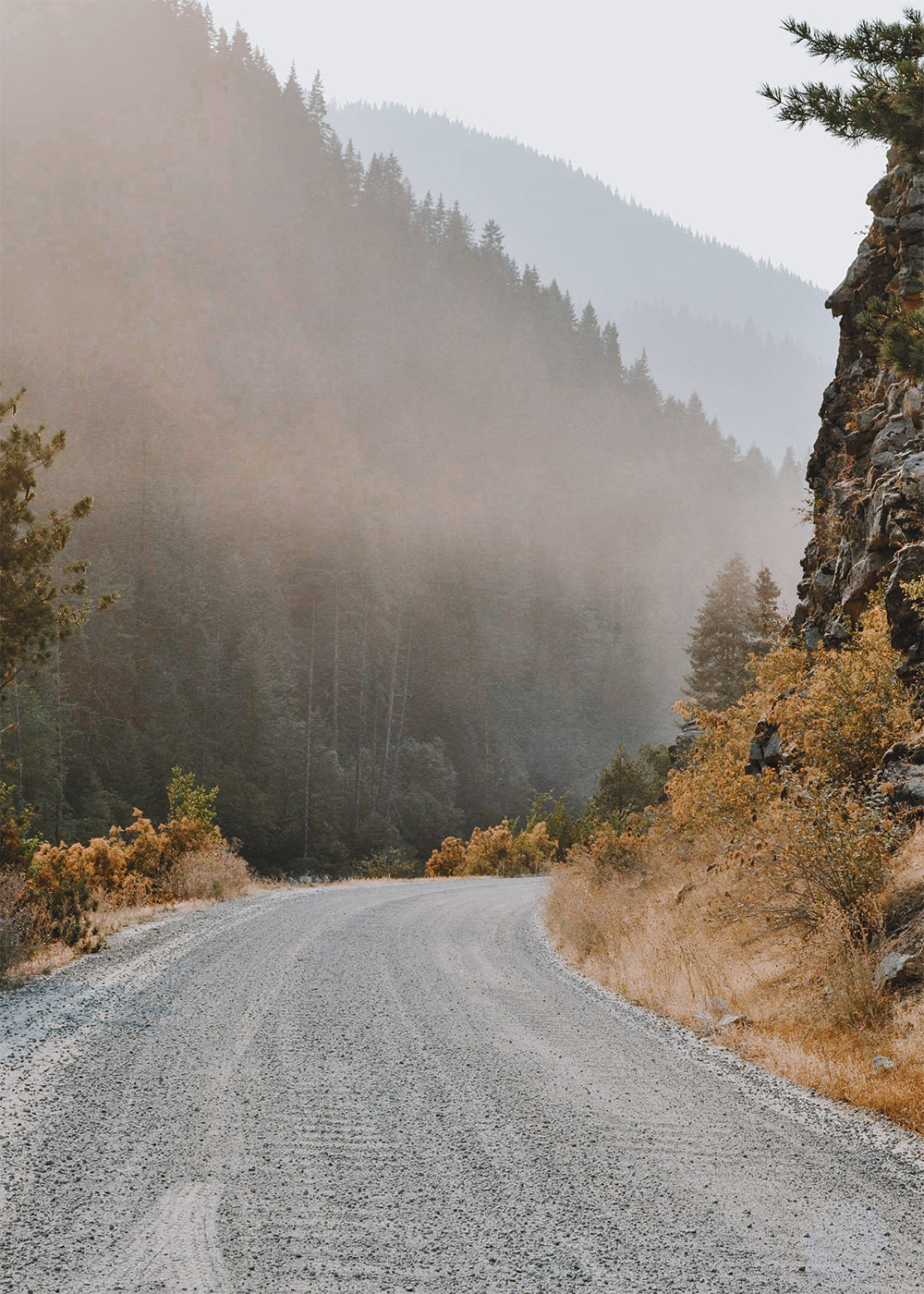 Peaceful Country Road