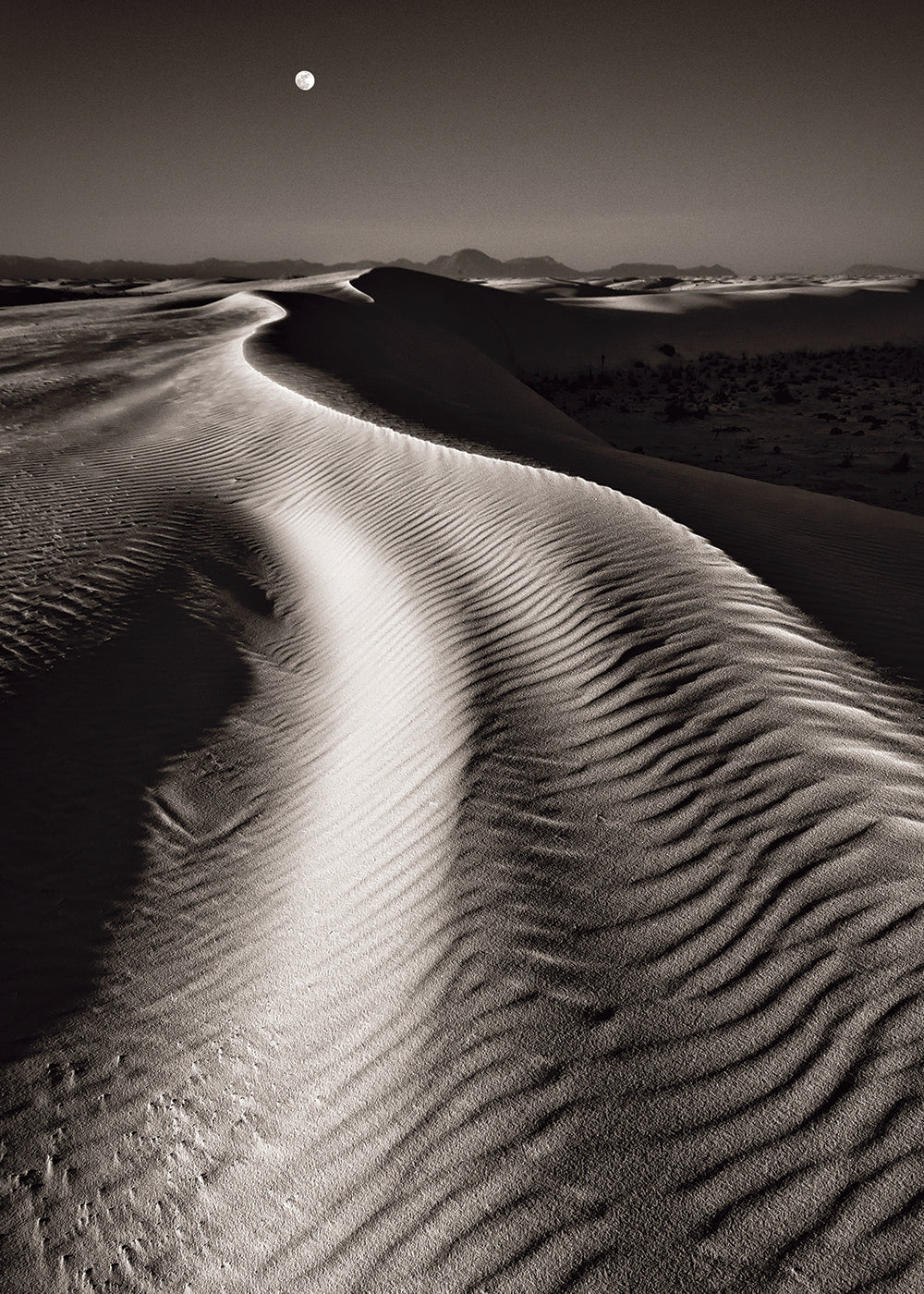 Sandy Desert Trail