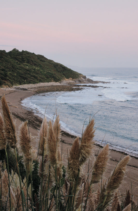 Grassy Sand Dune