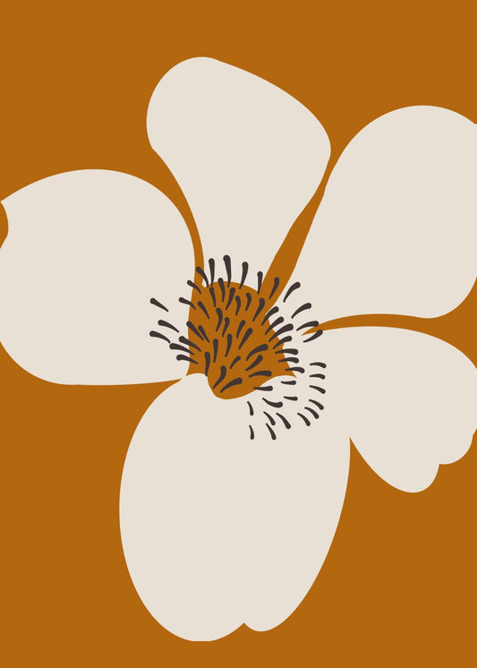 White Flower On Orange Background