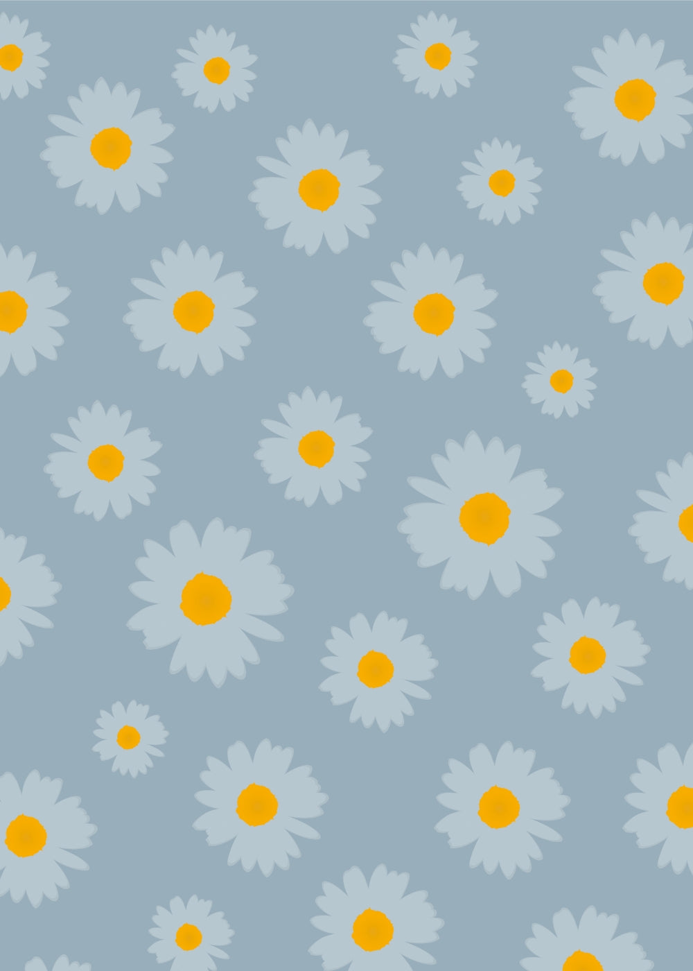 Chamomile With Blue Background