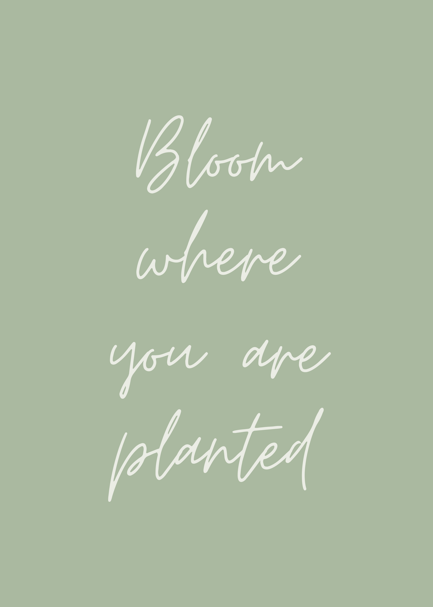 Bloom Where You Are Planted