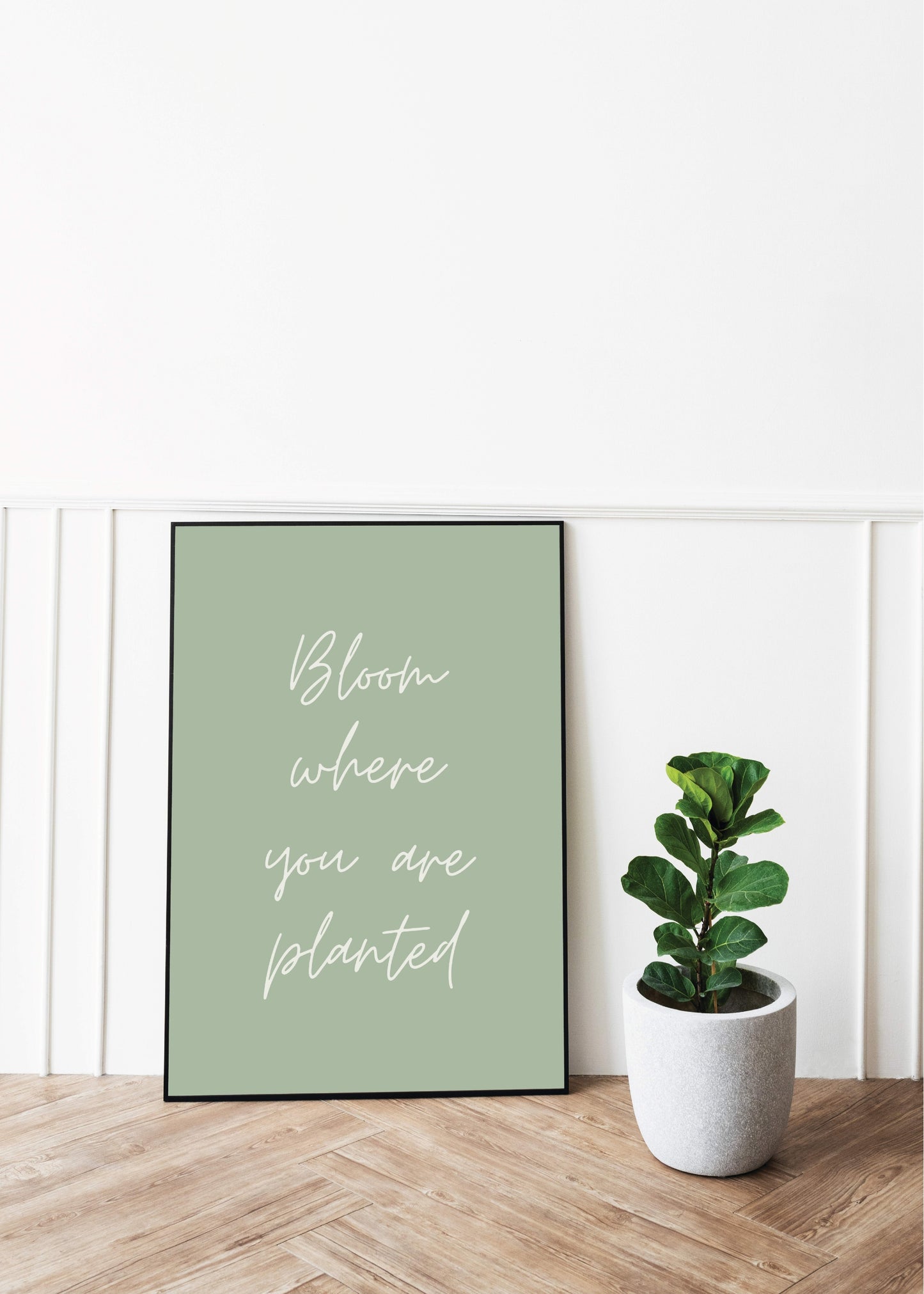 Bloom Where You Are Planted